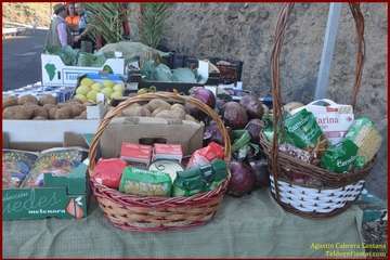 La Gavia ofrenda a María Auxiliadora (Foto TF)